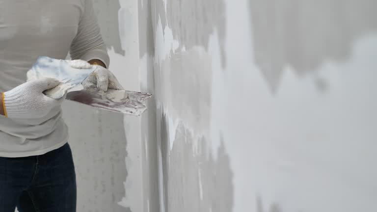 Best Wall Texturing and Painting  in Port Orchard, WA